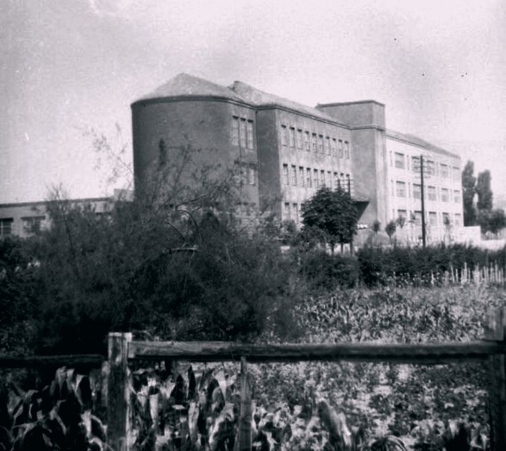 Kušlanova ulica